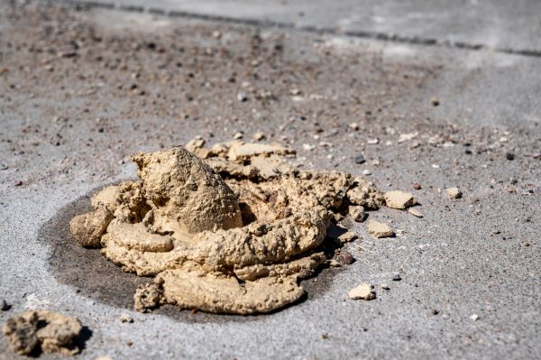 Cost of Driveway Slab Leveling in Easton